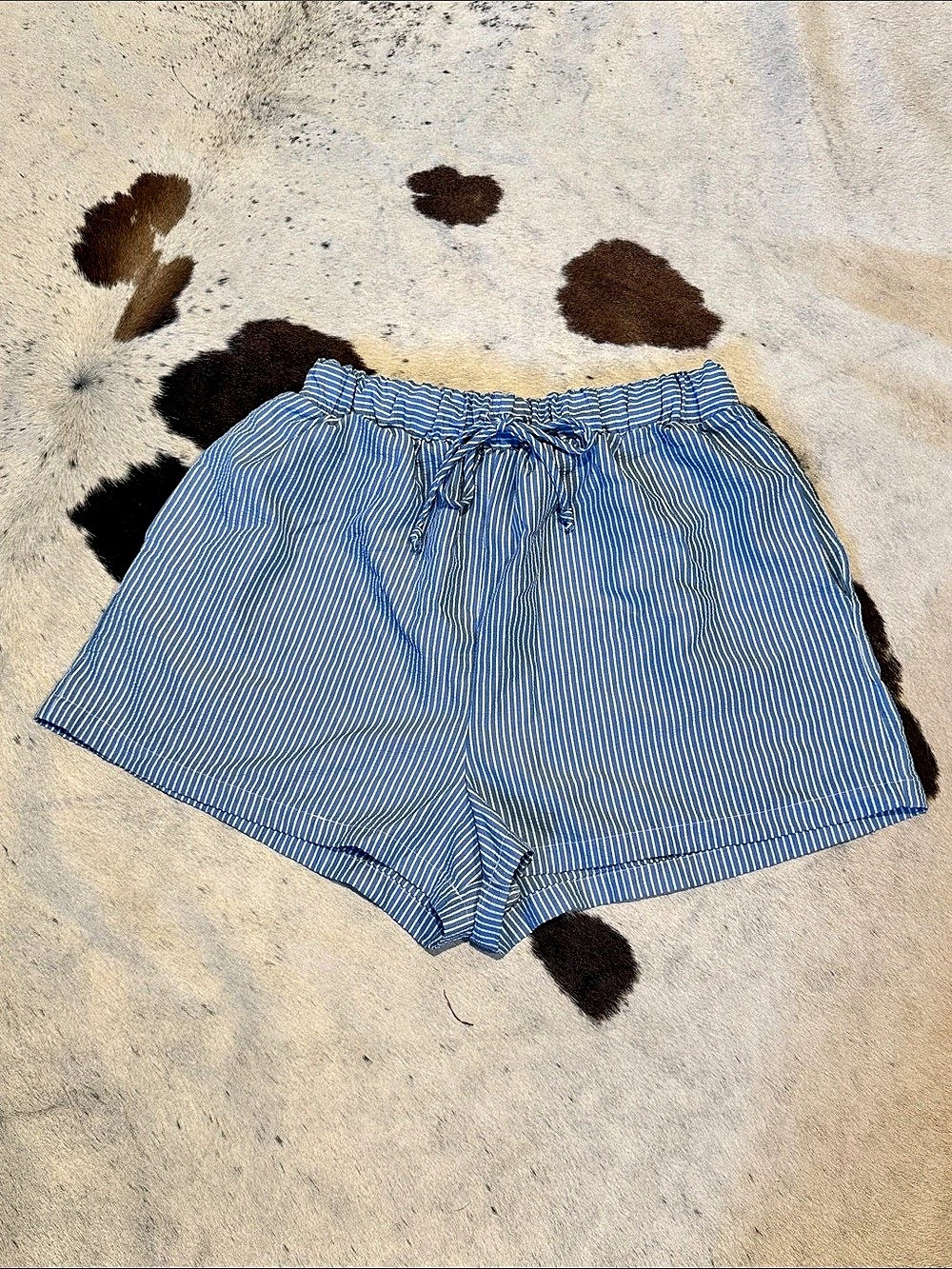 Heimish U.S.A. Striped High Waist Shorts Blue & White Size Large